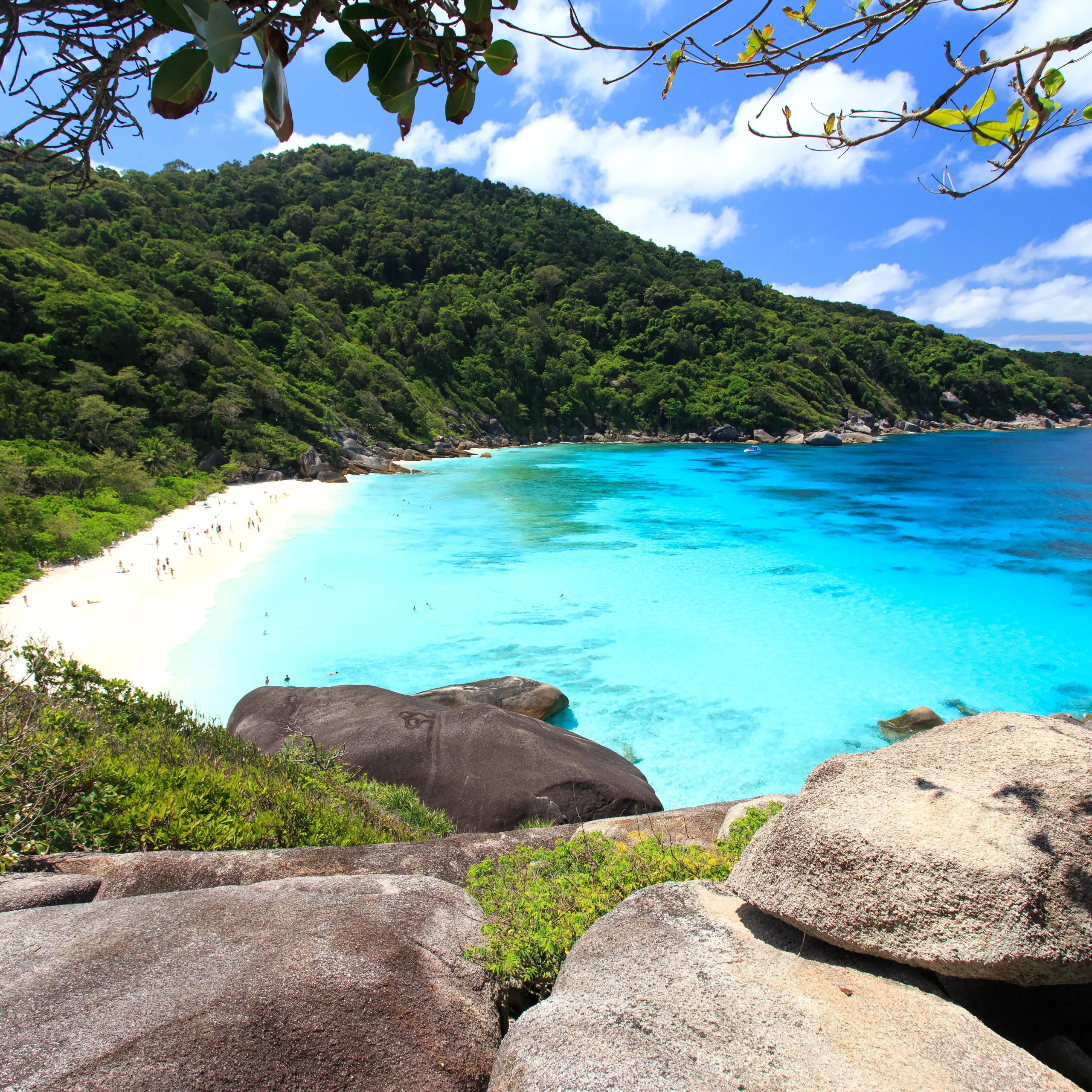 Similan Full Day Tour by Speedboat (Premium)